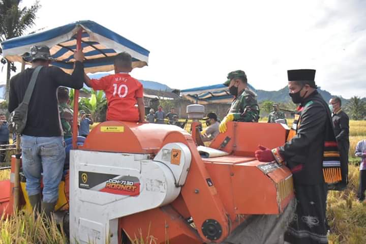 Masyarakat Bersama Kapolda Aceh, Pangdam IM Dan Bupati Bener Meriah Memanen Padi