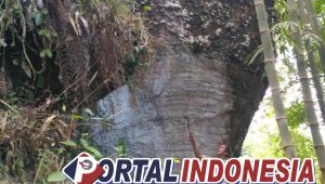 Batu Besar Menyerupai Mustoko Masjid Ditemukan di Purworejo