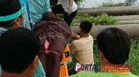 Remaja di Pasuruan Tenggelam, Ditemukan tidak Bernyawa
