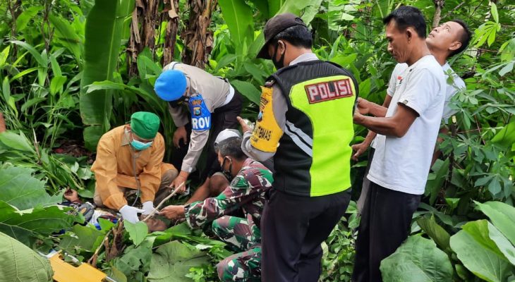 Warga Ponorogo Tewas Tersengat Listrik saat Memotong Ranting Pohon Jati