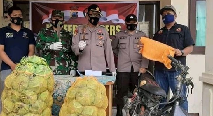 Tertangkap Basah Curi Sayur Kubis di Banjarnegara, Warga Wonosobo Diamankan