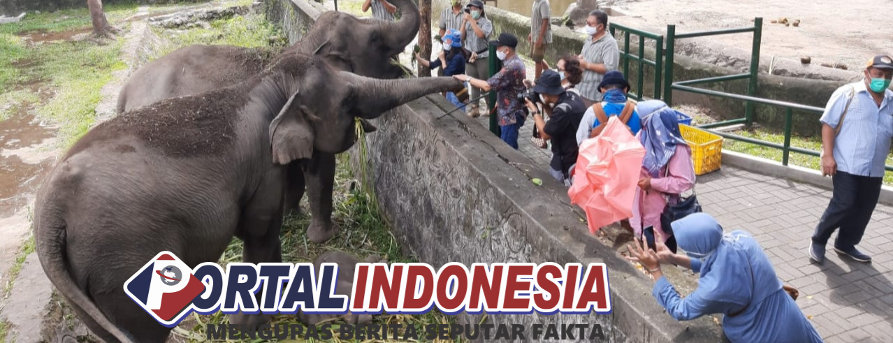 Wisata Edukasi di Yogyakarta Sangat Terbuka untuk Dikembangan
