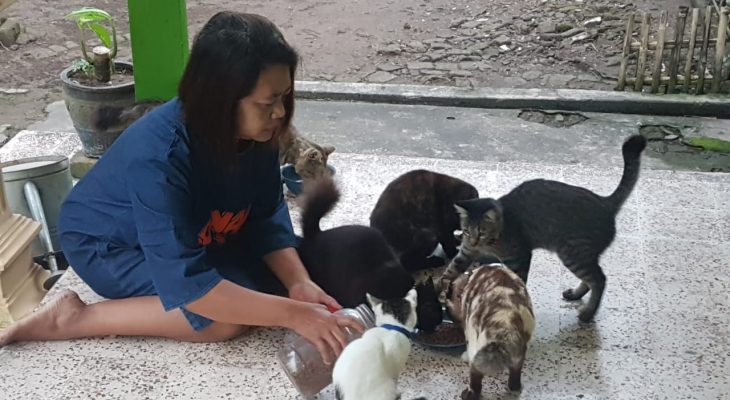 Kucingnya Hilang Saat Jalani Rawat Inap di Sebuah Klinik, Warga Sidoarjo Ini Minta Pertanggungjawaban 