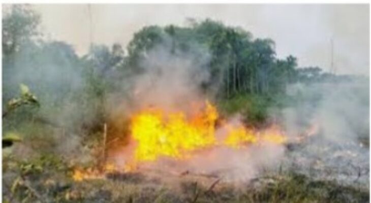 Polda Sumsel Sebarkan Maklumat Larangan Membakar Hutan dan Lahan Selama Musim Kemarau