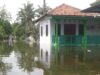 Ratusan Hektar Lahan dan Pemukiman di Purworejo Terendam Banjir
