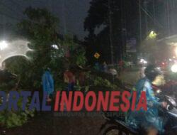 Hujan Lebat Disertai Angin Kencang Landa Kota Malang, Tumbangkan Pohon Besar