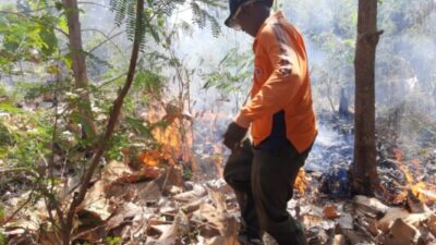 Lagi, Kebakaran Hutan dan Lahan Terjadi di Situbondo