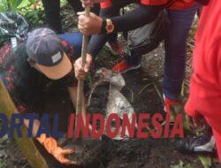 Cegah Tanah Longsor, DPC PDI Perjuangan Kota Malang Tanam Pohon Di Das Brantas