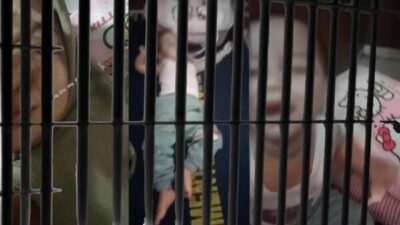 Gegara Utang Piutang, Oknum Penyidik Polda Banten Jebloskan Seorang Ibu dan Bayinya ke Penjara