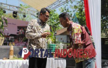 Festival Anggrek Vanda Tricolor untuk Lestarikan Flora Endemik Asli Merapi
