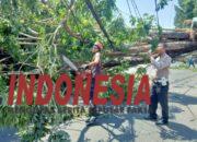 Gotong Royong Evakuasi Pohon Tumbang Menghambat Arus Lalin Raya Kebonagung Sukodono