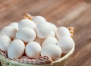 Khasiat Telur Ayam Kampung untuk Kesehatan Seksual Pria