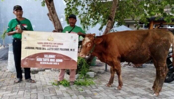 Kapolri Sumbang Satu Ekor Sapi Kurban kepada Ketua Ormas TKN