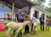 Menteri Pertanian : Pengembangan Ternak Kambing untuk Meminimalisir Import