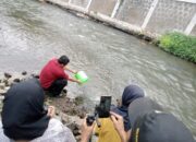 Jaga Kualitas Ekosistem Lingkungan Perkotaan Yogyakarta Agar Lestari