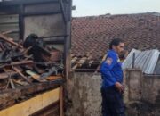 Bakar Sampah, 8 Ekor Kambing Warga Wonosobo Hangus Dilalap Api