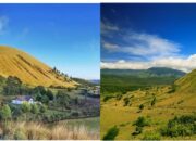 Bukit Jabal Kirmit, Savana Bondowoso ala Selandia Baru