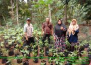 Jaga Ketahanan Pangan, Kades Kebarongan Ajak Warga Manfaatkan Lahan Pekarangan Rumah