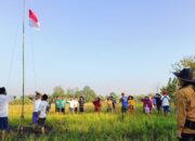 Konsep Ala Petani, Karang Taruna Kelurahan Sebani Gelar Upacara Dirgahayu RI di Persawahan