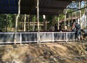 Arena Sabung Ayam di Purworejo Dibongkar Polisi