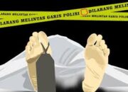 Warga Temukan Sosok Mayat Wanita di TPU Talang Kerikil Palembang