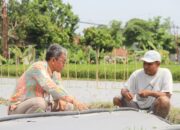 Terapkan Teknologi, Petani Milenial Buktikan Kesuksesanya