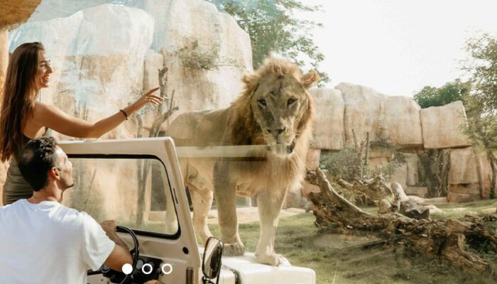 Petualangan Seru di Bali Zoo Gianyar, Tempat Wajib Dikunjungi di Bali!