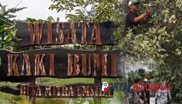 Wisata Kaki Bumi Kebaron, Sensasi Petik Jambu dan Edukasi yang Memikat