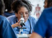 Sertifikasi Profesi Apoteker, Jaminan Mutu Pelayanan Kefarmasian