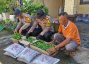 Polsek Balongbendo Pacu Ketahanan Pangan, Bibit Cabai dan Terong untuk 20 Desa