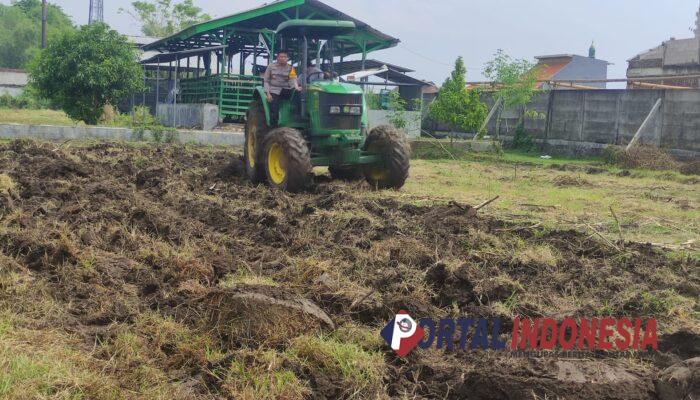 Polisi Sidoarjo Sulap Lahan Tidur Jadi Ladang Jagung, Dorong Ketahanan Pangan dan Ekonomi Masyarakat