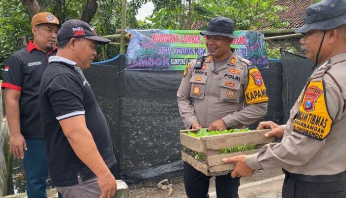 Kapolsek Balongbendo Dorong Swasembada Pangan, Salurkan 400 Bibit untuk Warga Desa Kemangsen