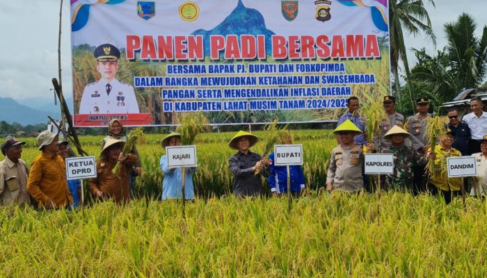 Kapolres Lahat dan Forkopimda Bersama Masyarakat Panen Padi, Wujudkan Ketahanan Pangan di Kikim Selatan