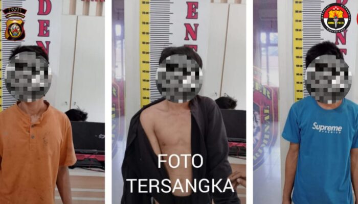Polres Lahat Tangkap Tiga Pelaku Pencurian Kelapa Sawit di PT SMS