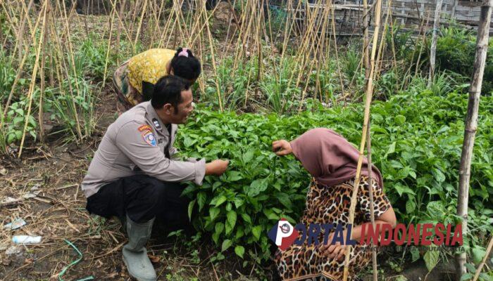 Polsek Jabon dan Warga Bangunsari Bersinergi Wujudkan Lahan Produktif untuk Ketahanan Pangan