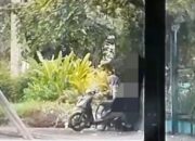 Viral! Aksi Tak Senonoh Pasangan Muda di Sasana Krida Gegerkan Warga Probolinggo