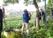 Jihad Rawat Kali, Gerakan Bersih-Bersih Sungai di Kecamatan Waru, Sidoarjo