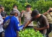 Polsek Taman Kolaborasi dengan Warga Desa Sambibulu, Tanam 1.000 Bibit Cabai dan Terong