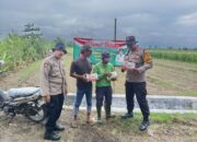 Dukung Ketahanan Pangan, Polsek Balongbendo Salurkan Pupuk untuk Petani Jagung