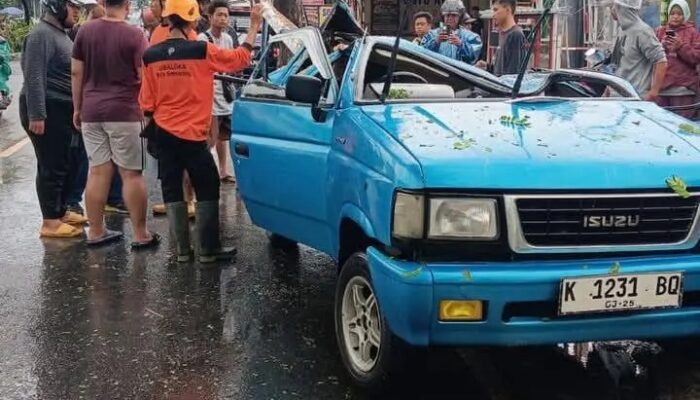 Mobil Panther Tertimpa Pohon Tumbang di Jalan Kedungpane, 5 Orang Luka-luka