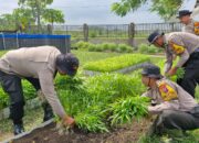 Polsek Balongbendo dan Warga Panen Kangkung di Pekarangan Bergizi, Wujud Ketahanan Pangan Mandiri