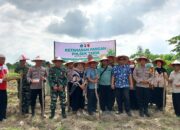 Forkopimka Tarik dan Petani Bersinergi Tanam Jagung di Desa Gampingrowo