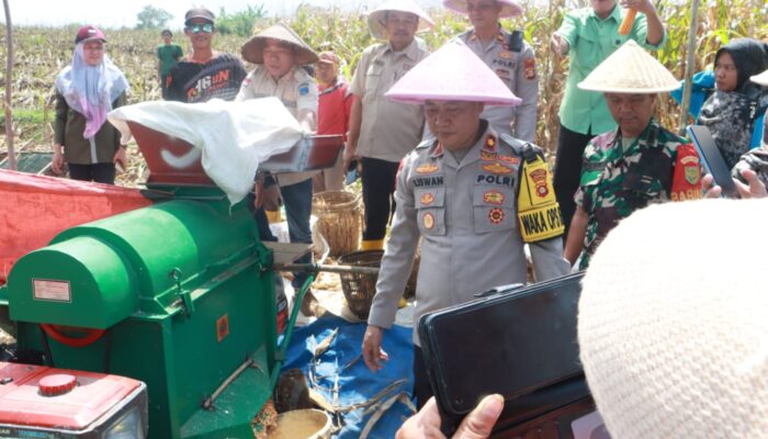 Polres Lahat Gelar Panen Raya Jagung, Dukung Ketahanan Pangan di Kabupaten Lahat