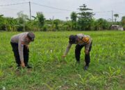 Kapolsek Balongbendo Tinjau Pekarangan Pangan Bergizi, Dukung Ketahanan Pangan Desa