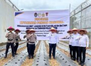Rutan Batam dan Satbrimob Polda Kepri Sinergi Panen Raya dan Tanam Jagung