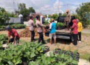 Polsek Krembung dan Warga Lemujut Bersinergi Tanam Hortikultura, Perkuat Ketahanan Pangan