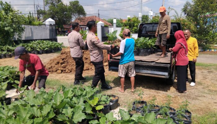 Polsek Krembung dan Warga Lemujut Bersinergi Tanam Hortikultura, Perkuat Ketahanan Pangan