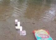 Warga Tapalang Geger! Mayat Bayi Ditemukan di Muara Sungai Dayangina