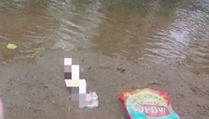 Warga Tapalang Geger! Mayat Bayi Ditemukan di Muara Sungai Dayangina