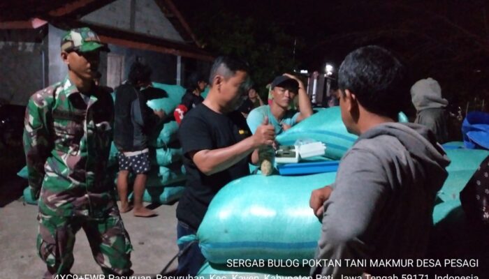 Petani Kayen Jual Gabah Basah Rp 6500 Per Kilogram ke Sergap Bulog Pati